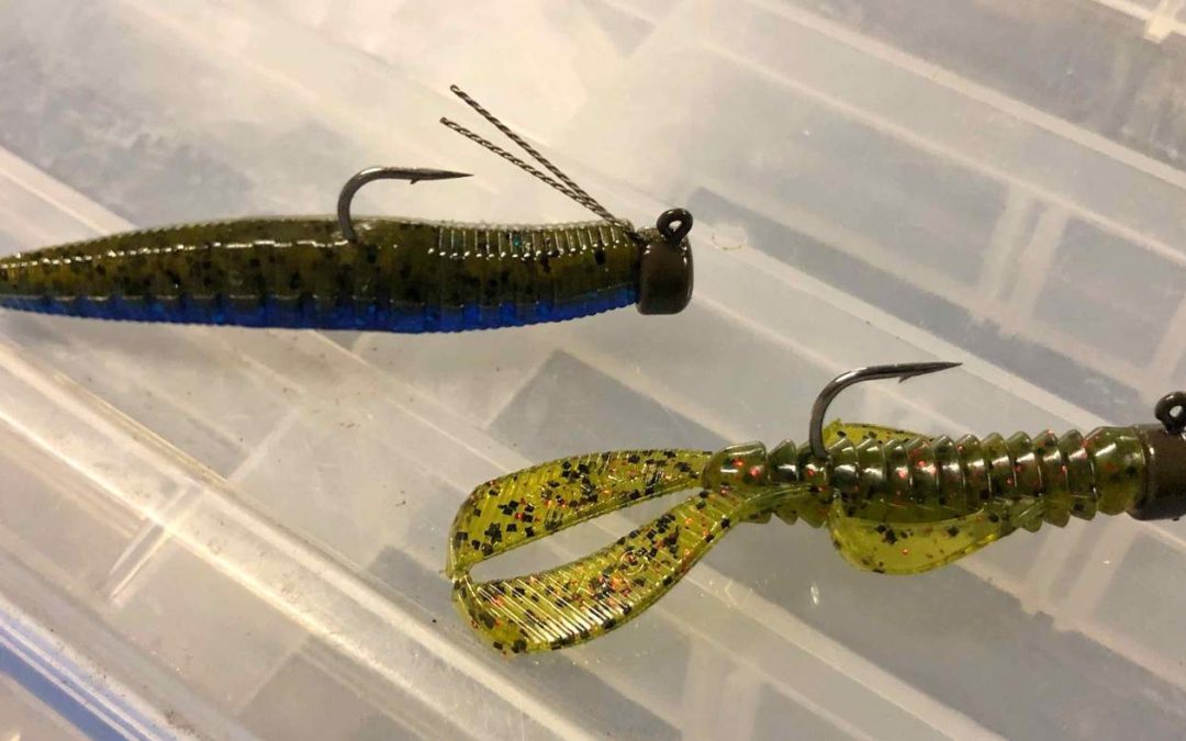 NED RIG BASICS FOR BASS FISHING