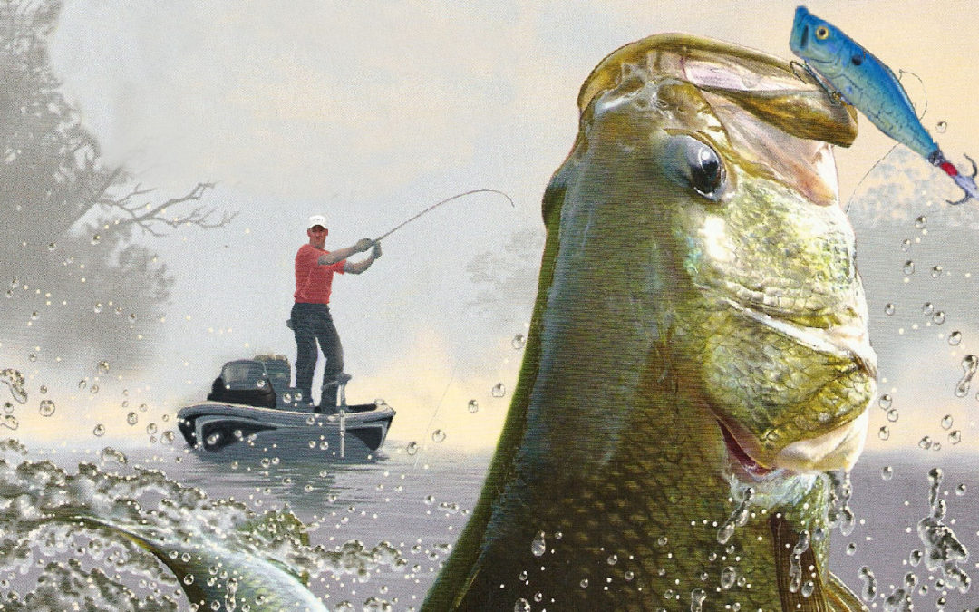 Bass Fishing The School & College Sports