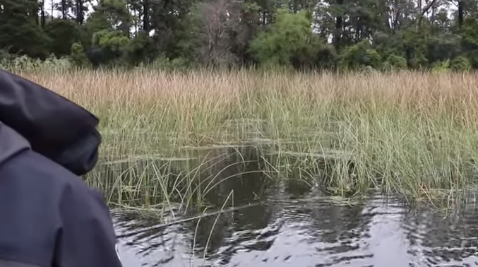 Find Cover, Find Bass