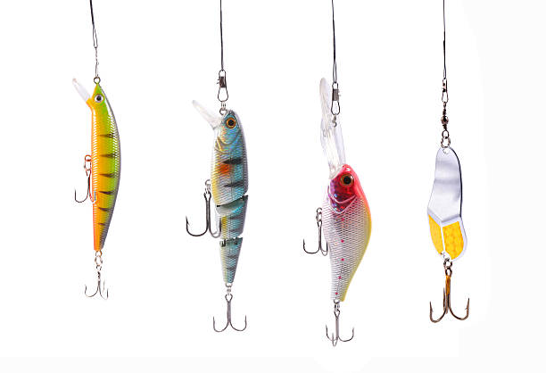 7 Best Fishing Tackle Direct Hooks