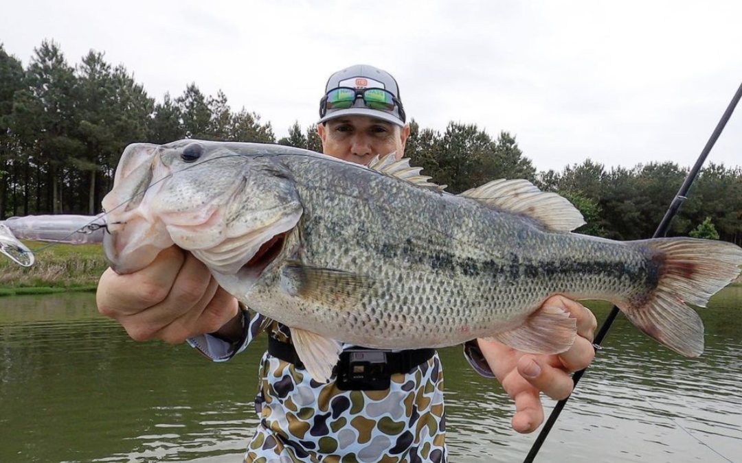 5 BAITS FOR BASS FISHING