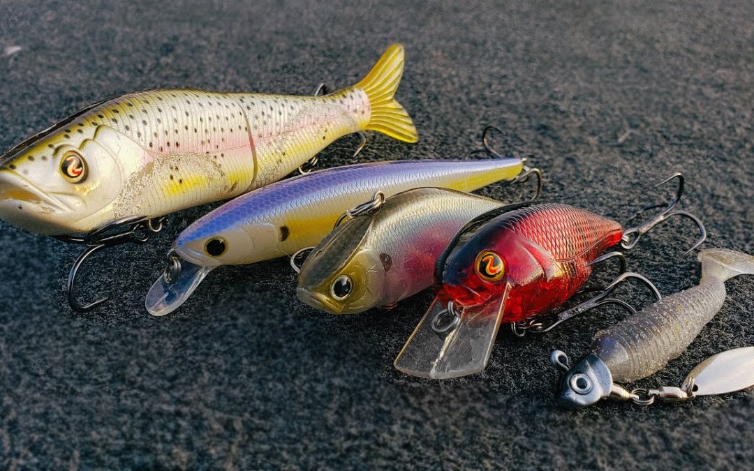 5 Lures That Will Catch You More Bass