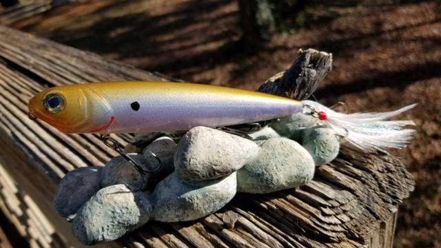 5 LARGEMOUTH BASS BAITS