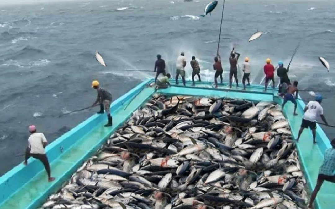 Take A Look At These Fishing Tips!