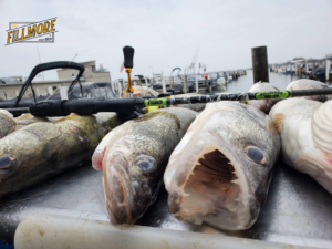 Pictures of the Fillmore Tackle experience