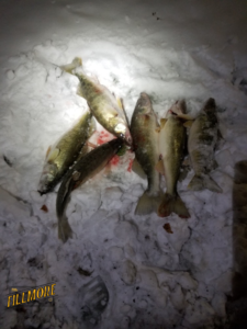 Pictures of the Fillmore Tackle experience