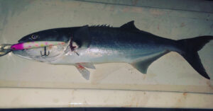 Pictures of the Fillmore Tackle experience