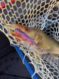 Pictures of the Fillmore Tackle experience